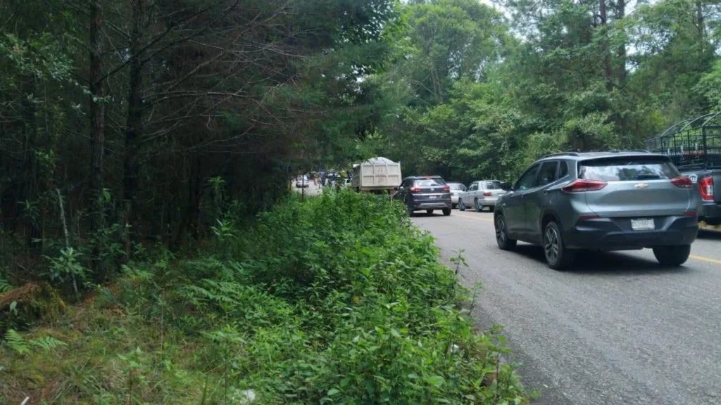 Hallan ocho cuerpos con signos de tortura en El Bosque, Chiapas